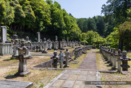鳥取藩池田家墓所 | 高解像度画像サイズ：7979 x 5322 pixels | 写真番号：6F1A8727 | 撮影：Canon EOS R5m2