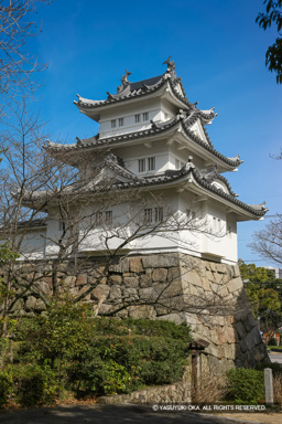 津城模擬三重櫓 | 高解像度画像サイズ：3744 x 5616 pixels | 写真番号：1P3J5918 | 撮影：Canon EOS-1Ds Mark III