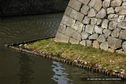 犬走り | 高解像度画像サイズ：5616 x 3744 pixels | 写真番号：1P3J5965 | 撮影：Canon EOS-1Ds Mark III