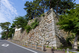 丑寅三重櫓台 | 高解像度画像サイズ：7732 x 5157 pixels | 写真番号：6F1A8168 | 撮影：Canon EOS R5m2