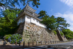 津城模擬三重櫓 | 高解像度画像サイズ：7700 x 5136 pixels | 写真番号：6F1A8174-Edit | 撮影：Canon EOS R5m2