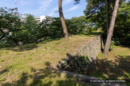 南多門櫓跡 | 高解像度画像サイズ：8192 x 5464 pixels | 写真番号：6F1A8233 | 撮影：Canon EOS R5m2