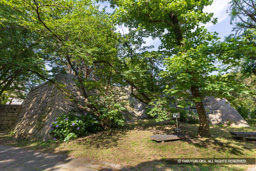 小天守台・大天守台 | 高解像度画像サイズ：8192 x 5464 pixels | 写真番号：6F1A8235 | 撮影：Canon EOS R5m2
