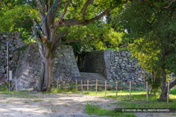 埋門跡 | 高解像度画像サイズ：7887 x 5261 pixels | 写真番号：6F1A8241-Edit | 撮影：Canon EOS R5m2
