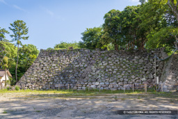 小天守台・大天守台 | 高解像度画像サイズ：7727 x 5154 pixels | 写真番号：6F1A8242 | 撮影：Canon EOS R5m2