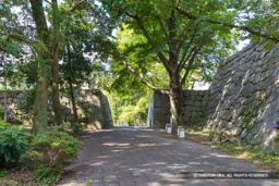 埋門跡 | 高解像度画像サイズ：8192 x 5464 pixels | 写真番号：6F1A8244 | 撮影：Canon EOS R5m2