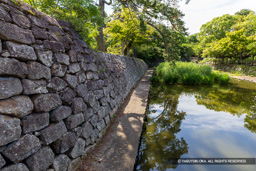 西之丸の犬走り | 高解像度画像サイズ：8192 x 5464 pixels | 写真番号：6F1A8277 | 撮影：Canon EOS R5m2