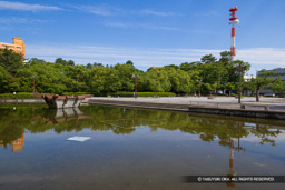 お城西公園・二の丸跡 | 高解像度画像サイズ：8192 x 5464 pixels | 写真番号：6F1A8282 | 撮影：Canon EOS R5m2