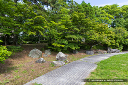 お城西公園・二の丸跡 | 高解像度画像サイズ：8192 x 5464 pixels | 写真番号：6F1A8290 | 撮影：Canon EOS R5m2
