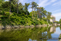 北多門櫓台と北堀 | 高解像度画像サイズ：8192 x 5464 pixels | 写真番号：6F1A8306 | 撮影：Canon EOS R5m2