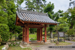 入徳門 | 高解像度画像サイズ：8192 x 5464 pixels | 写真番号：6F1A8584 | 撮影：Canon EOS R5m2