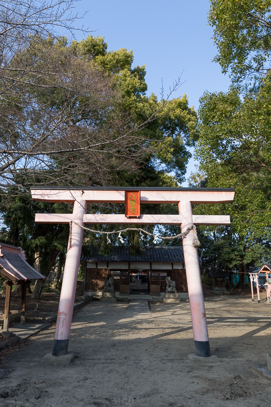 八幡宮の鳥居と拝殿