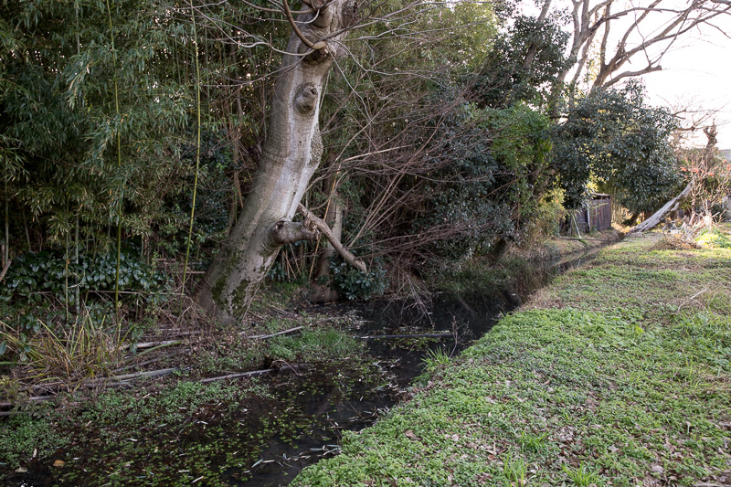 光専寺北側の堀跡