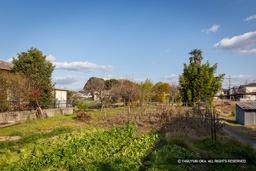 筒井城の中心部・畑 | 高解像度画像サイズ：5472 x 3648 pixels | 写真番号：IMG_3051 | 撮影：Canon EOS 6D