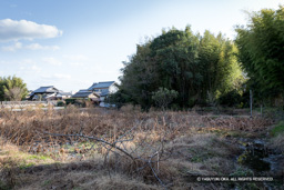 筒井城の中心部・蓮根畑 | 高解像度画像サイズ:5310 x 3540 pixels | 写真番号:IMG_3052 | 撮影:Canon EOS 6D