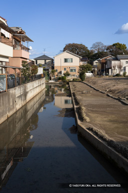 内堀南側 | 高解像度画像サイズ：3648 x 5472 pixels | 写真番号：IMG_3056 | 撮影：Canon EOS 6D