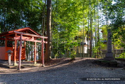菅田比売神社境内の推定土塁 | 高解像度画像サイズ:5472 x 3648 pixels | 写真番号:IMG_3070 | 撮影:Canon EOS 6D