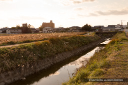 順慶堤・量川 | 高解像度画像サイズ：5472 x 3648 pixels | 写真番号：IMG_3090 | 撮影：Canon EOS 6D