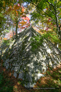 天守台石垣｜高解像度画像サイズ：3328 x 4992 pixels｜写真番号：VJ7Z4241｜撮影：Canon EOS-1Ds Mark II