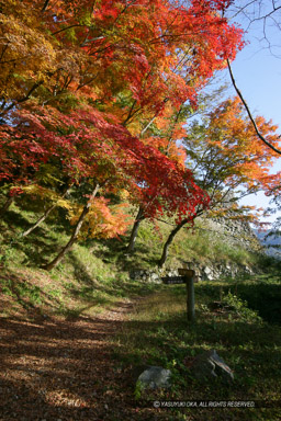 津和野城の紅葉｜高解像度画像サイズ：3328 x 4992 pixels｜写真番号：VJ7Z4253｜撮影：Canon EOS-1Ds Mark II