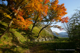 津和野城の紅葉｜高解像度画像サイズ：4992 x 3328 pixels｜写真番号：VJ7Z4255｜撮影：Canon EOS-1Ds Mark II