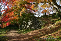 天守台への道｜高解像度画像サイズ：4992 x 3328 pixels｜写真番号：VJ7Z4304｜撮影：Canon EOS-1Ds Mark II