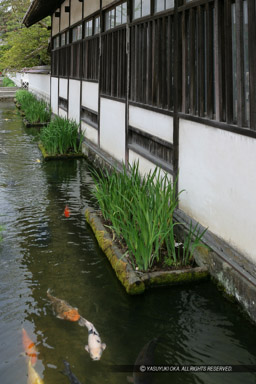 津和野藩校養老館｜高解像度画像サイズ：3117 x 4676 pixels｜写真番号：VJ7Z6524｜撮影：Canon EOS-1Ds Mark II