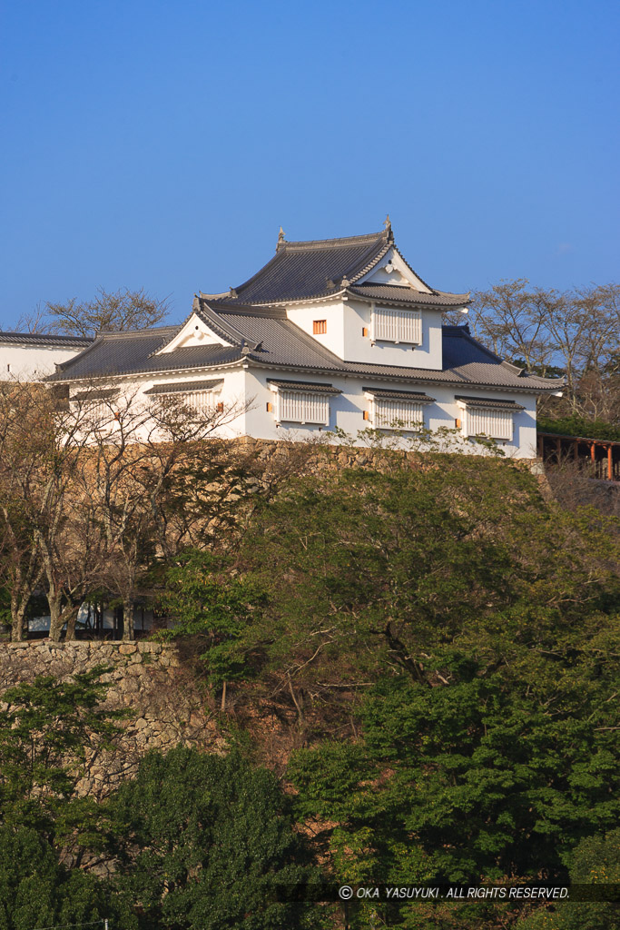 津山城備中櫓の遠景