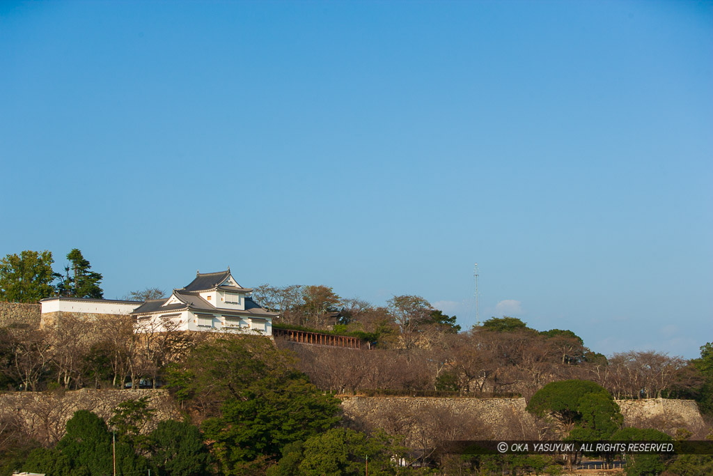 津山城備中櫓の遠景