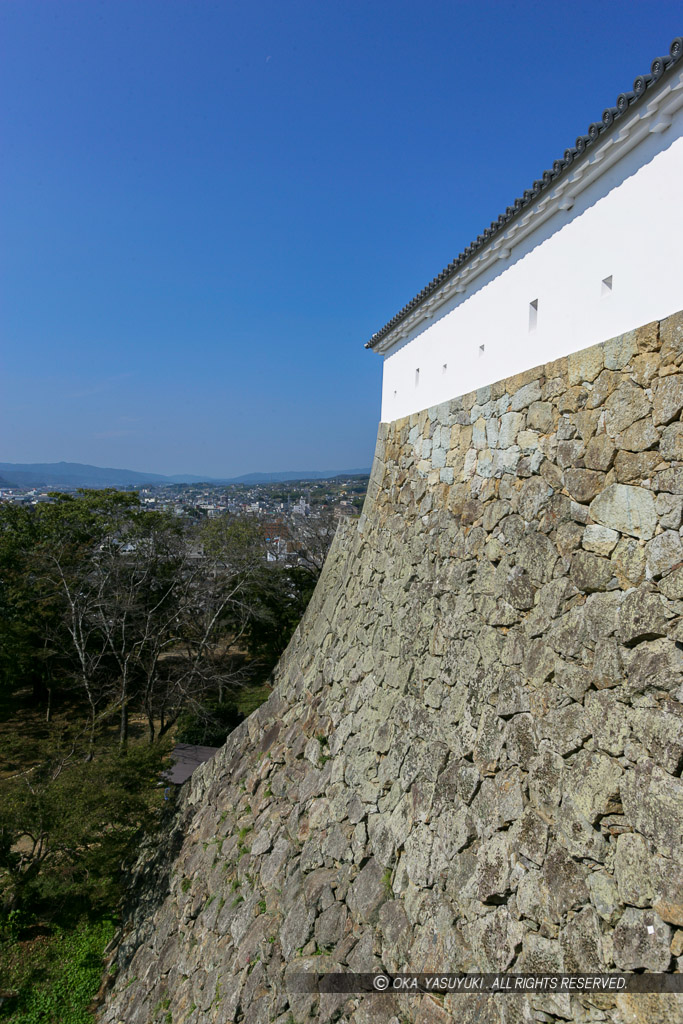 津山城の石垣風景