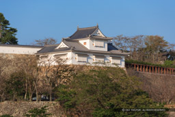 津山城備中櫓の遠景｜高解像度画像サイズ：4992 x 3328 pixels｜写真番号：VJ7Z7444｜撮影：Canon EOS-1Ds Mark II