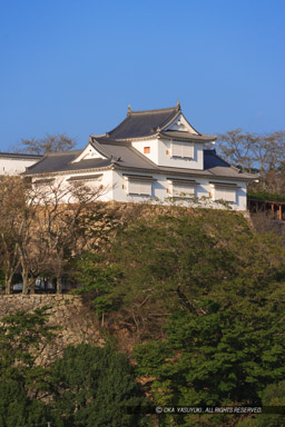 津山城備中櫓の遠景｜高解像度画像サイズ：3328 x 4992 pixels｜写真番号：VJ7Z7447｜撮影：Canon EOS-1Ds Mark II