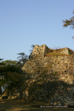 津山城の石垣｜高解像度画像サイズ：3328 x 4992 pixels｜写真番号：VJ7Z7514｜撮影：Canon EOS-1Ds Mark II