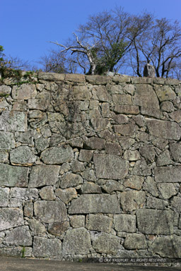 津山城の石垣風景｜高解像度画像サイズ：3328 x 4992 pixels｜写真番号：VJ7Z7613｜撮影：Canon EOS-1Ds Mark II