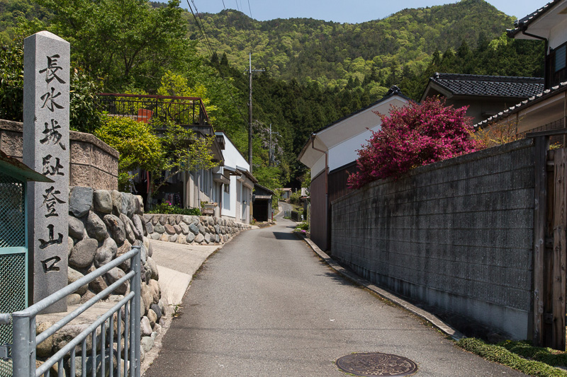 大手道への登山口