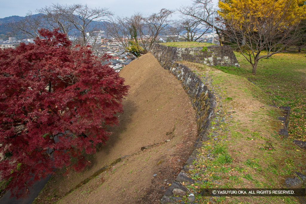 二の丸塁壁・会所櫓跡・紅葉
