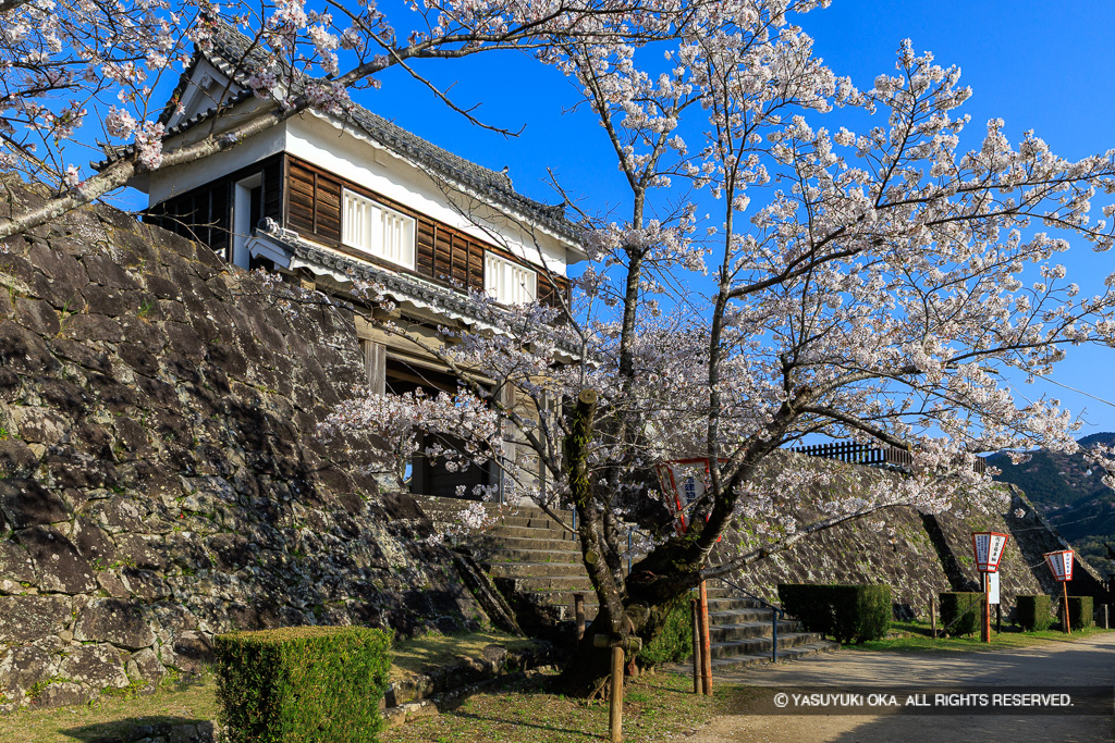 大門櫓・桜