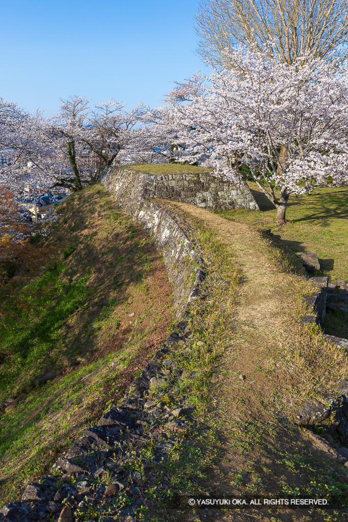 二の丸塁壁・会所櫓跡・桜