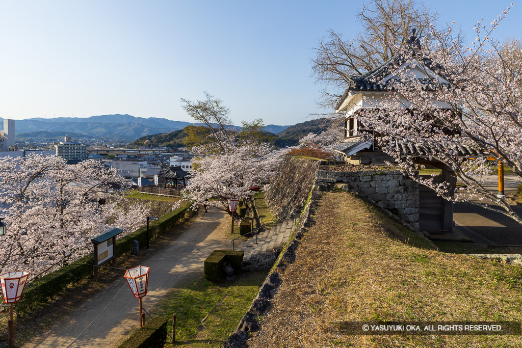 二の丸帯曲輪・大門櫓・桜