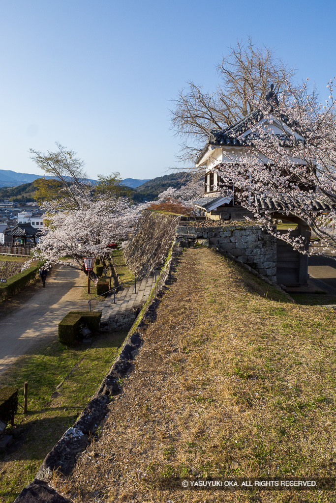 二の丸帯曲輪・大門櫓・桜