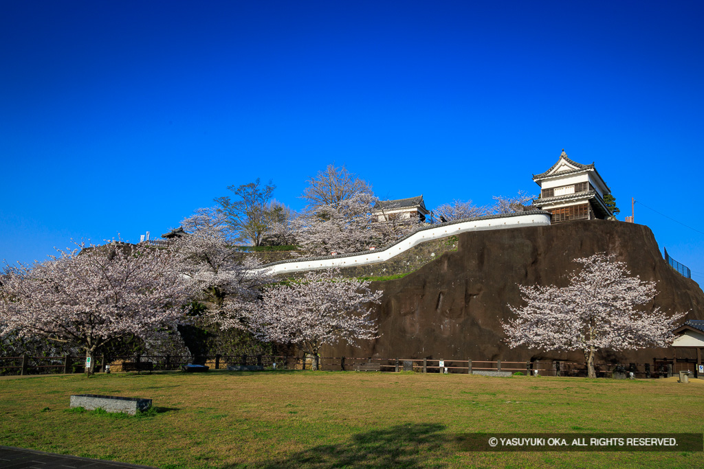 時鐘櫓跡・大門櫓・畳櫓・桜