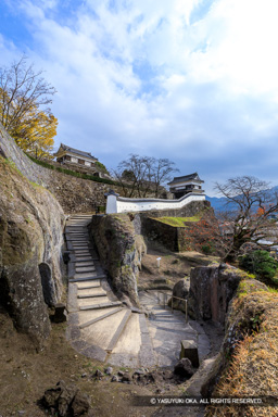 鐙坂・大門櫓・畳櫓・秋 | 高解像度画像サイズ：4480 x 6720 pixels | 写真番号：5D4A5552 | 撮影：Canon EOS 5D Mark IV