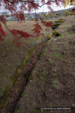 暗渠と排水路 | 高解像度画像サイズ：4480 x 6720 pixels | 写真番号：5D4A5592 | 撮影：Canon EOS 5D Mark IV