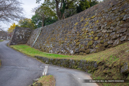 二の丸石垣・着見櫓跡 | 高解像度画像サイズ：6720 x 4480 pixels | 写真番号：5D4A5596 | 撮影：Canon EOS 5D Mark IV