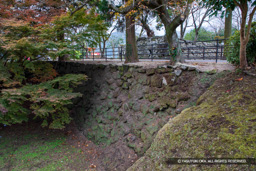 本丸土橋 | 高解像度画像サイズ：6720 x 4480 pixels | 写真番号：5D4A5613 | 撮影：Canon EOS 5D Mark IV