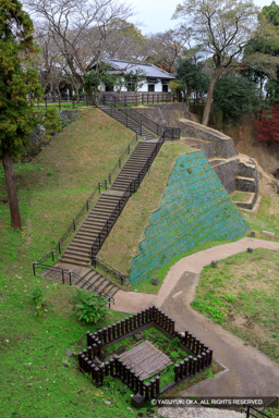 井戸丸 | 高解像度画像サイズ：4351 x 6526 pixels | 写真番号：5D4A5638 | 撮影：Canon EOS 5D Mark IV