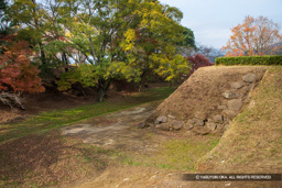 空堀と天守櫓台・紅葉 | 高解像度画像サイズ：6720 x 4480 pixels | 写真番号：5D4A5664 | 撮影：Canon EOS 5D Mark IV
