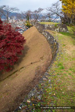 二の丸塁壁・会所櫓跡・紅葉 | 高解像度画像サイズ：4480 x 6720 pixels | 写真番号：5D4A5693 | 撮影：Canon EOS 5D Mark IV