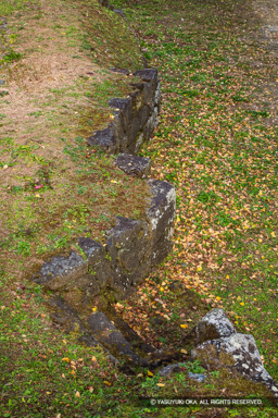 二の丸塁壁 | 高解像度画像サイズ：4480 x 6720 pixels | 写真番号：5D4A5695 | 撮影：Canon EOS 5D Mark IV