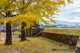 二の丸塁壁・紅葉 | 高解像度画像サイズ：6720 x 4480 pixels | 写真番号：5D4A5696 | 撮影：Canon EOS 5D Mark IV